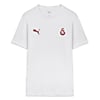Görüntü Puma GALATASARAY FtblESSENTIALS Erkek Tişört #4