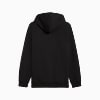 Görüntü Puma GALATASARAY FtblESSENTIALS Erkek Kapüşonlu SWEATSHIRT #2