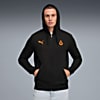 Görüntü Puma GALATASARAY FtblESSENTIALS Erkek Kapüşonlu Ceket #1