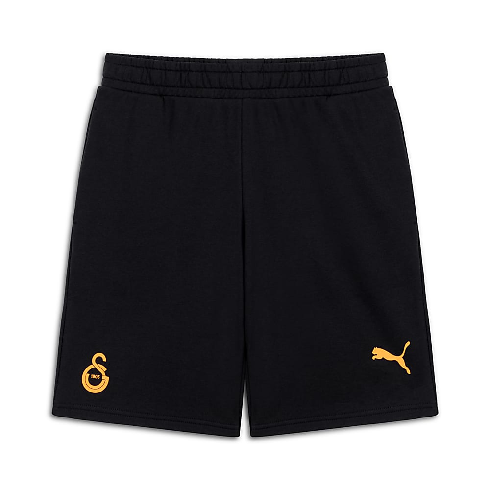 Görüntü Puma GALATASARAY FtblESSENTIALS Erkek Şort #2