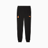 Görüntü Puma GALATASARAY FtblESSENTIALS Erkek Eşofman Altı #4