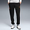 Görüntü Puma GALATASARAY FtblESSENTIALS Erkek Eşofman Altı #1