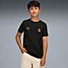 Görüntü Puma GALATASARAY FtblESSENTIALS Genç Tişört #1