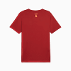Görüntü Puma GALATASARAY FtblCulture Erkek Tişört #5