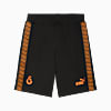 Görüntü Puma GALATASARAY KING Erkek Şort #6