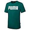 Görüntü Puma ESSENTIALS Erkek T-shirt #1