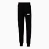 Görüntü Puma ESSENTIALS Erkek FL Erkek Eşofman Altı #1