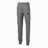 Görüntü Puma ESSENTIALS Erkek FL Erkek Eşofman Altı #1