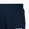 Görüntü Puma ESSENTIALS Erkek FL Erkek Eşofman Altı #3