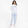 Görüntü Puma ESSENTIALS+ METALLIC Logo Kadın Kapüşonlu SWEATSHIRT #3