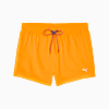 Görüntü Puma PUMA SWIM Kısa Kesim Şort Erkek Mayo #1