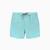 Görüntü Puma PUMA SWIM Kısa Kesim Şort Erkek Mayo #1
