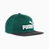 Gorro con visera plana Essentials No. 1 Logo, PUMA Black-Dark Myrtle, small-PER