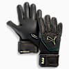 Guantes de arquero FUTURE Pro Hybrid, PUMA Black-Green Terrain-Fizzy Light, small-PER