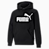 Polo para juniors con capucha y logotipo grande Essentials, Puma Black, small-PER