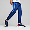 Pantalón jogger BMW M Motorsport MT7+, Pro Blue-M Color, small-PER