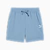 Shorts CLASSICS para hombre, Zen Blue, small-PER