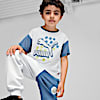 Polo para niños CLASSICS PUMA FC, Silver Mist, small-PER