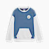 Polera para niños CLASSICS PUMA FC, Blue Horizon, small-PER