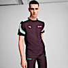 Polo Mercedes-AMG Petronas F1® MT7+ para hombre, Midnight Plum, small-PER