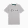 Polo Mercedes-AMG Petronas F1® ESS para hombre, Team Silver, small-PER