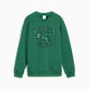 Polera para juniors PUMA HOOPS x TORTUGAS NINJA, Vine, small-PER