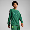 Polera para juniors PUMA HOOPS x TORTUGAS NINJA, Vine, small-PER