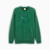 Polera PUMA x TORTUGAS NINJA para hombre, Vine, small-PER