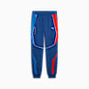 Pantalón joggers BMW M Motorsport para hombre, Pro Blue-M Color, small-PER