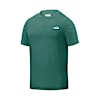Polo Suede para hombre, Vine, small-PER