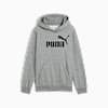 Polera con capucha para juniors Essentials No. 1 Logo, Medium Gray Heather, small-PER