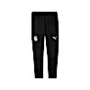 Pantalón de training Sporting Cristal, PUMA Black-Puma Silver, small-PER