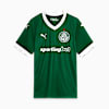 Camiseta Palmeiras 2025 Local para hombre, Power Green, small-PER