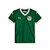 Camiseta para juniors Palmeiras 2025 Local, Power Green, small-PER