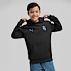 Polera con capucha para juniors Sporting Cristal, PUMA Black-Team Light Blue, small-PER
