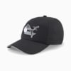 Performance Baseball Youth Cap, Puma Black, small-PHL