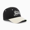 Comic Youth Cap, PUMA Black-PUMA Graphic, small-SEA