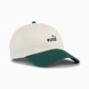 ESS No. 1 Colour Block Dad Cap, Alpine Snow-Dark Myrtle, small-SEA