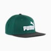 ESS No. 1 Logo Flat Brim Cap, PUMA Black-Dark Myrtle, small