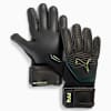 FUTURE Match NC Fußball Torwarthandschuhe, PUMA Black-Green Terrain-Fizzy Light, small