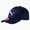 Fundamentals Cap, peacoat-Big Cat, small-IDN