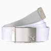 Reversible Webbing Men's Golf Belt, Bright White, small-VNM