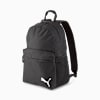 teamGOAL Backpack Core, Puma Black, small-SEA