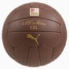 แฟนบอล AC Milan ฉลองครบรอบ 125 ปี, Brown Mushroom-PUMA Gold, small-THA