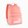 Swatch for Pink Fruit