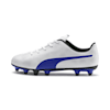 Puma White-Royal Blue-Light Gray