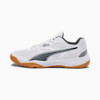 Solarflash II Indoor Sports Shoes, PUMA White-Shadow Gray-Gum, small