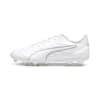 PUMA White-PUMA Silver