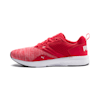 Hibiscus -Puma White