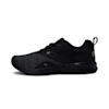 Puma Black-Gold